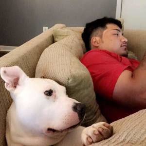 Meet your Posher, Abelardo